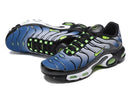Air Max Plus TN 1 "Icons"